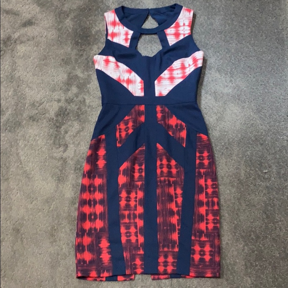 BCBG Dress